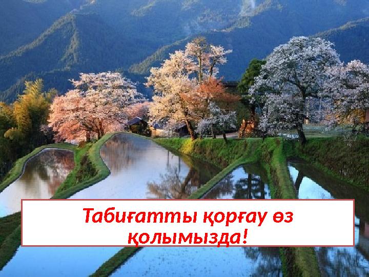 Табиғатты қорғау өз қолымызда!
