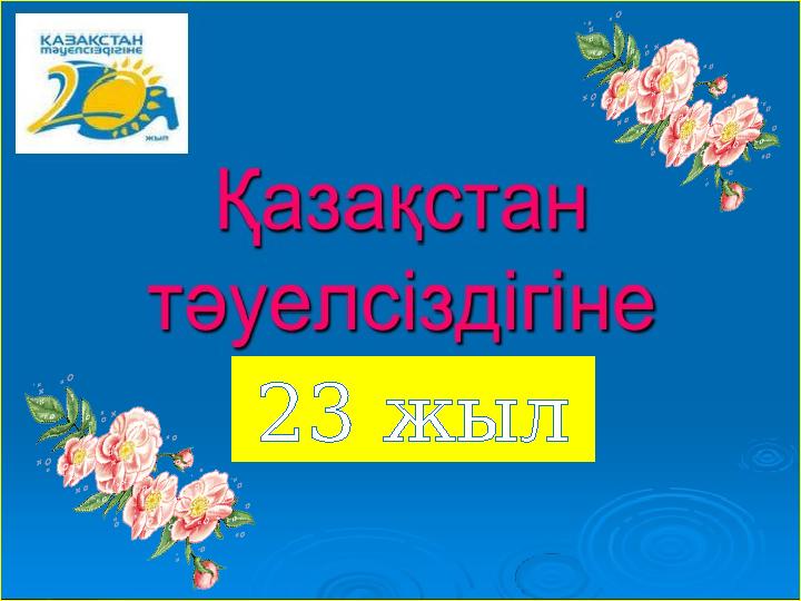 23 жыл