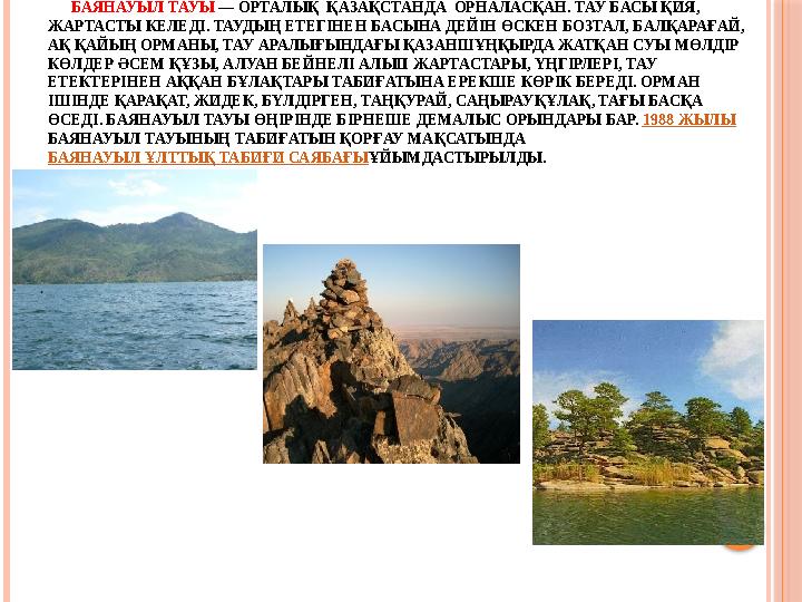 БАЯНАУЫЛ ТАУЫ — ОРТАЛЫҚ ҚАЗАҚСТАНДА ОРНАЛАСҚАН. ТАУ БАСЫ ҚИЯ, ЖАРТАСТЫ КЕЛЕДІ. ТАУДЫҢ ЕТЕГІНЕН БАСЫНА ДЕЙІН ӨСКЕН Б
