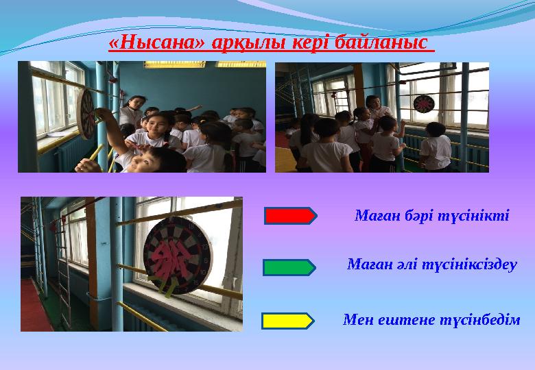 «Нысана» арқылы кері байланыс Маған бәрі түсінікті Маған әлі түсініксіздеу Мен ештене түсінбедім