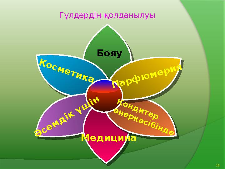 19Гүлдердің қолданылуыК о с м е т и к а Бояу П а р ф ю м е р и я Ә с е м д ік ү ш ін К о н д и т е р ө н е р к ә с і