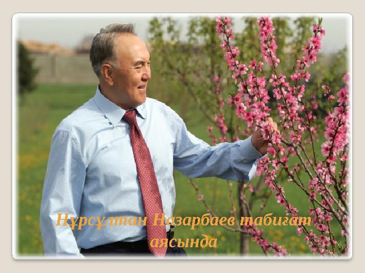 Нұрсұлтан Назарбаев табиғат аясында