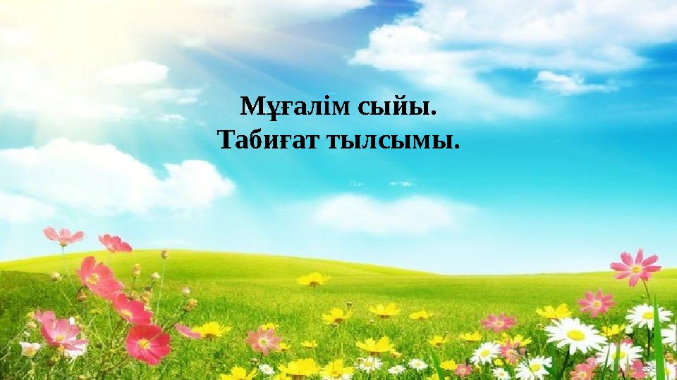 Мұғалім сыйы. Табиғат тылсымы.