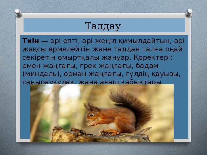 Талдау Тиін — әрі епті, әрі жеңіл қимылдайтын, әрі жақсы өрмелейтін және талдан талға оңай секіретін омыртқалы жануар. Қоре