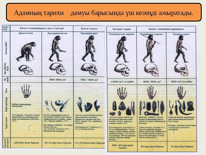 Адамның тарихи дамуы барысында үш кезеңді ажыратады.