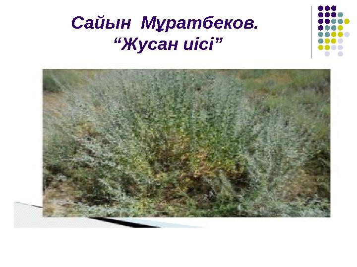 Сайын Мұратбеков. “Жусан иісі”