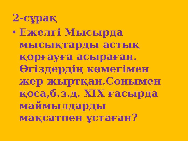 2-сұрақ • Ежелг і Мысырда мысықтарды астық қорғауға асыраған. Өгіздердің көмегімен жер жыртқан.Сонымен қоса,б.з.д. ХІХ ғасы