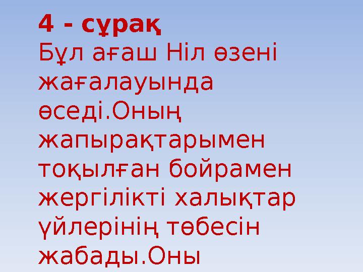 4 - сұрақ Бұл ағаш Ніл өзені жағалауында өседі.Оның жапырақтарымен тоқылған бойрамен жергілікті халықтар үйлерінің төбесі