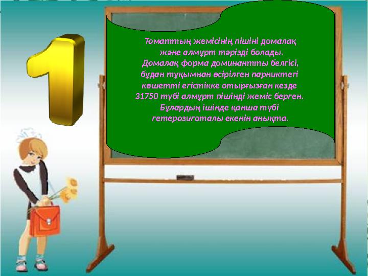 Томаттың жемісінің пішіні домалақ және алмұрт тәрізді болады. Домалақ форма доминантты белгісі, бұдан тұқымнан өсірілген парн