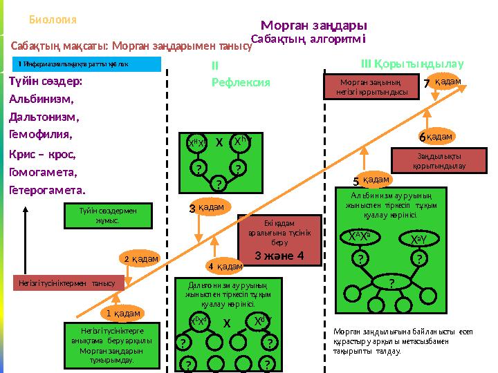 Үй тапсырмасын тексеру Адам генетикасы Морган заңдары Сабақтың алгоритмі І Информациалық(ақпа ратты қ)б лок II Рефлексия III