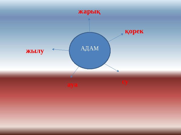 АДАМ ауа су қорек жарық жылу