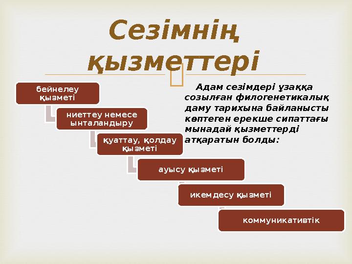  Сезімнің қызметтері бейнелеу қызметi ниеттеу немесе ынталандыру қуаттау, қолдау қызметi ауысу қызмет i икемдесу қызмет i к