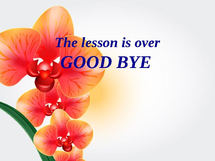 The lesson is over GOOD BYE