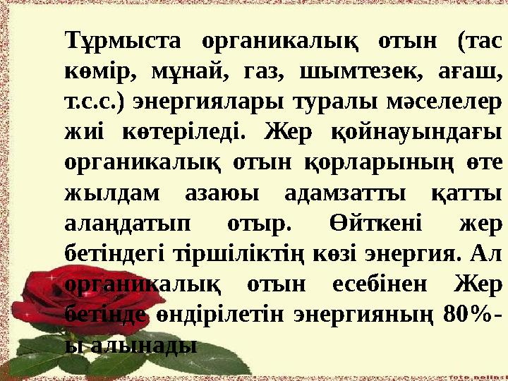 Тұрмыста органикалық отын (тас көмір, мұнай, газ, шымтезек, ағаш, т.с.с.) энергиялары туралы мәселелер жиі көтеріл