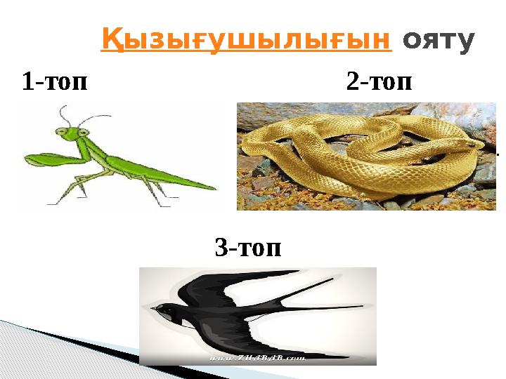 Қызығушылығын ояту 1-топ 2-топ 3-топ Үп-үшкір таяғы, Жылан көзін ояды Жер бетінде жатқан арқан, Ұстауға оны бәрі де Қызығушылығын ояту 1-топ 2-топ 3-топ Үп-үшкір таяғы, Жылан көзін ояды Жер бетінде жатқан арқан, Ұстауға оны бәрі де