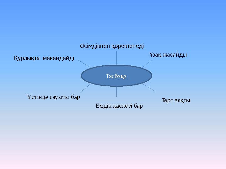 Тасбақа Өсімдікпен қоректенеді Ұзақ жасайды Құрлықта мекендейді Төрт аяқты Емдік қасиеті бар Үстінде сауы