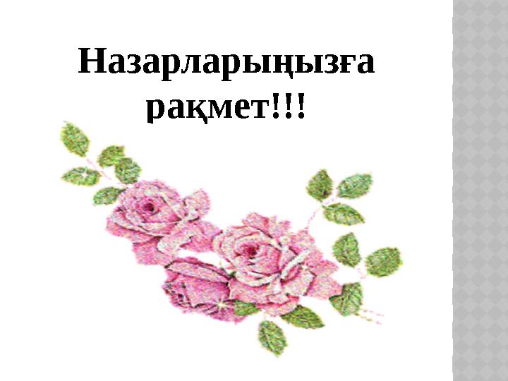 Назарларыңызға рақмет!!!