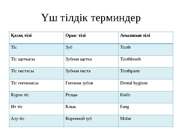Үш тілдік терминдер Қазақ тілі Орыс тілі Ағылшын тілі Тіс Зуб Tooth Тіс щеткасы Зубная щетка Toothbrush Тіс пастасы Зубная п