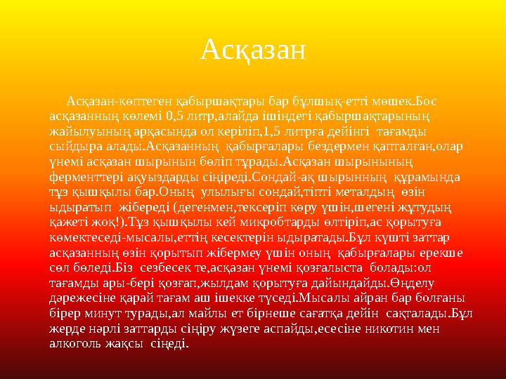 Асқазан Асқазан-көптеген қабыршақтары бар бұлшық-етті мөшек.Бос асқазанның көлемі 0,5 литр,алайда ішіндегі қабыршақта
