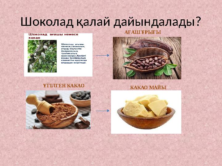 Шоколад қалай дайындалады? АҒАШ ҰРЫҒЫ КАКАО МАЙЫ ҮГІЛГЕН КАКАО