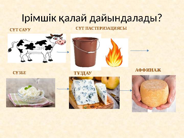 Ірімшік қалай дайындалады? СҮТ САУУ СҮТ ПАСТЕРИЗАЦИЯСЫ СҮЗБЕ ТҰЗДАУ АФФИНАЖ