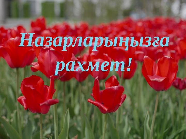 Назарларыңызға рахмет!