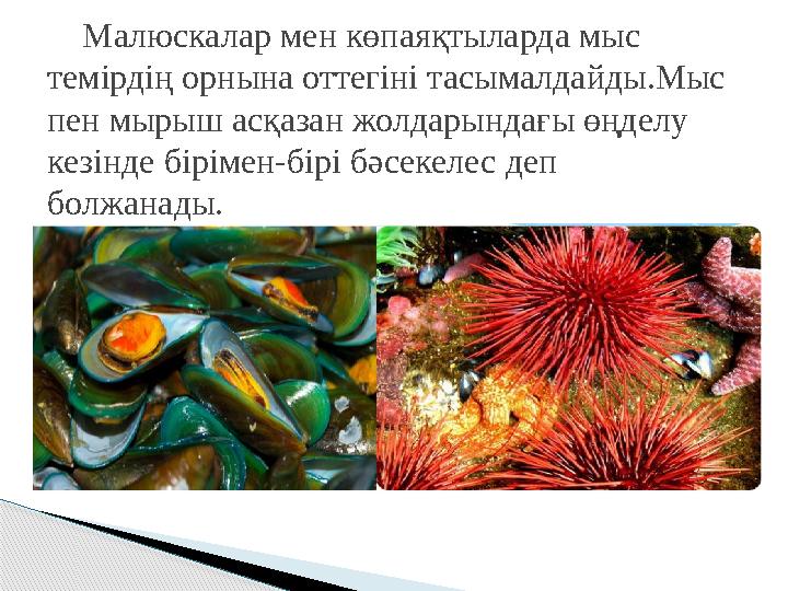 Малюскалар мен көпаяқтыларда мыс темірдің орнына оттегіні тасымалдайды.Мыс пен мырыш асқазан жолдарындағы өңделу кезін