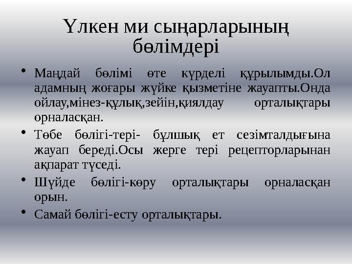 Үлкен ми сыңарларының бөлімдері •Маңдай бөлімі өте күрделі құрылымды.Ол адамның жоғары жүйке қызметіне жауапты.Онда ойлау,мін