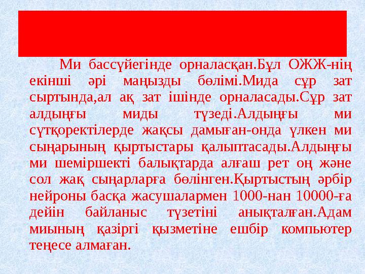Ми-эволюция мұраты. Ми бассүйегінде орналасқан.Бұл ОЖЖ-нің екінші әрі маңызды бөлімі.Мида сұр зат сыртында,ал ақ зат іші