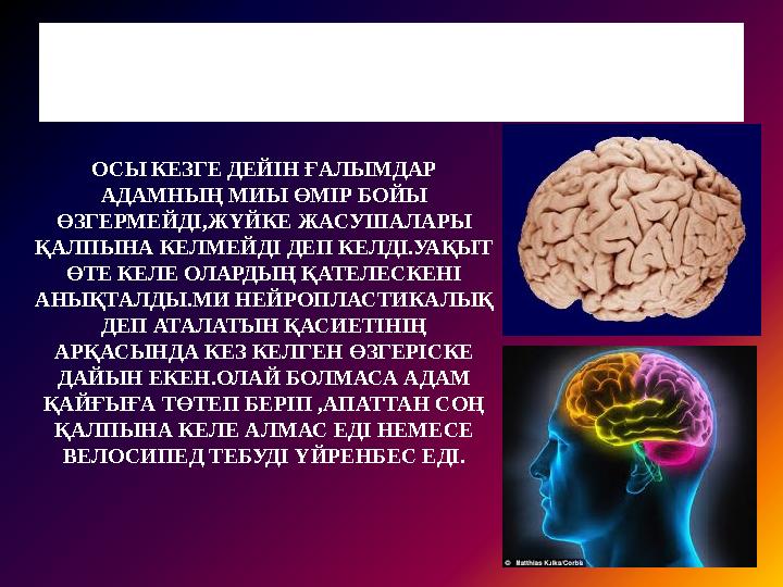 Сіз білесіз бе? ОСЫ КЕЗГЕ ДЕЙІН ҒАЛЫМДАР АДАМНЫҢ МИЫ ӨМІР БОЙЫ ӨЗГЕРМЕЙДІ,ЖҮЙКЕ ЖАСУШАЛАРЫ ҚАЛПЫНА КЕЛМЕЙДІ ДЕП КЕЛДІ.УАҚЫТ