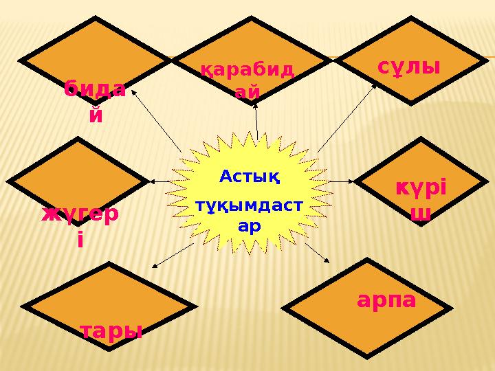 Астық тұқымдаст ар бида й қарабид ай сұлы жүгер і тары күрі ш арпа