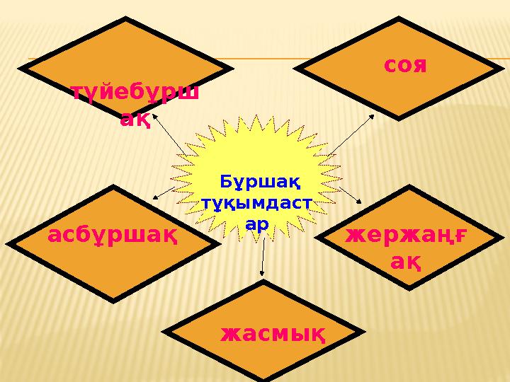 Бұршақ тұқымдаст ар түйебұрш ақ соя асбұршақ жержаңғ ақ жасмық