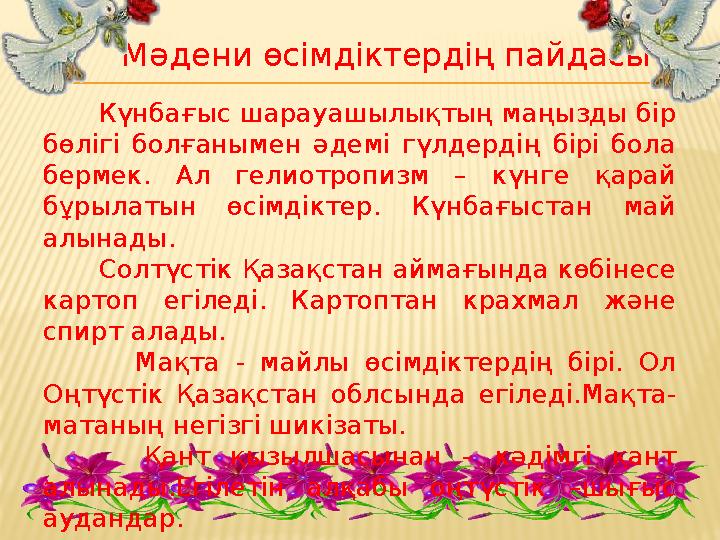 Мәдени өсімдіктердің пайдасы Күнбағыс шарауашылықтың маңызды бір бөлігі болғанымен әдемі гүлдердің бірі бола бермек. Ал