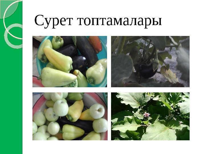 Сурет топтамалары
