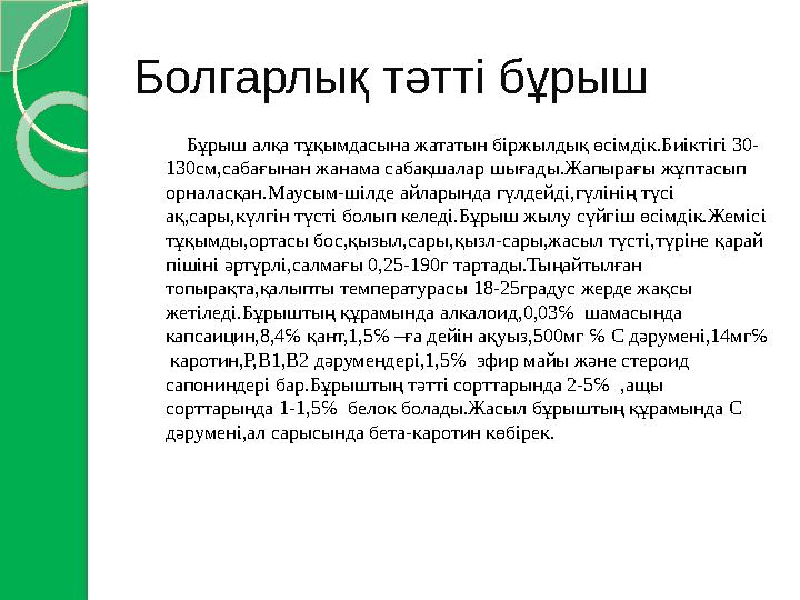 Болгарлық тәтті бұрыш Бұрыш алқа тұқымдасына жататын біржылдық өсімдік.Биіктігі 30- 130см,сабағынан жанама сабақш