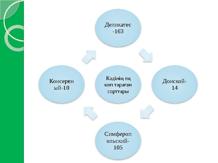 Кәдінің ең көп тараған сорттары Деликатес -163 Донской- 14 Симфероп ольский- 105 Консервн ый-10