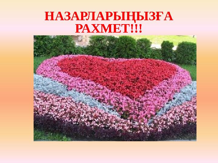 НАЗАРЛАРЫҢЫЗҒА РАХМЕТ!!!