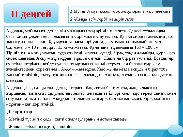 ІІ деңгей Аққудың мойны мен денесінің ұзындығы тең әрі иіліп келген. Денесі созылыңқы, басы онша үлкен емес, тұмсығы тік әрі жа