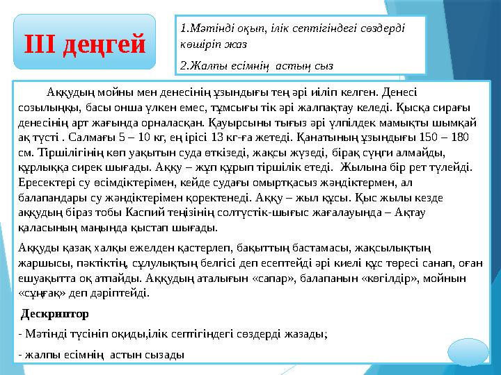 ІІІ деңгей Аққудың мойны мен денесінің ұзындығы тең әрі иіліп келген. Денесі созылыңқы, басы онша үлкен емес, тұмсығ