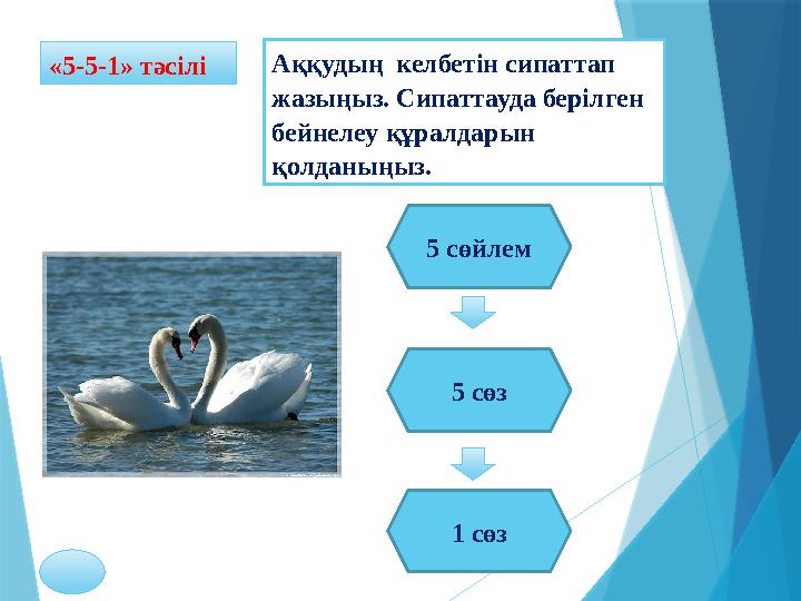 Аққудың келбетін сипаттап жазыңыз. Сипаттауда берілген бейнелеу құралдарын қолданыңыз.« 5-5-1 » тәсілі 5 сөйлем 5 сөз 1 сөз