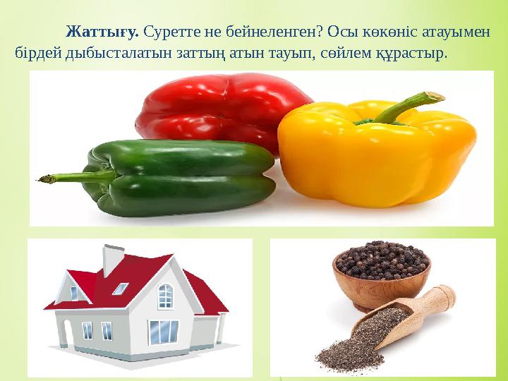 Жаттығу. Суретте не бейнеленген? Осы көкөніс атауымен бірдей дыбысталатын заттың атын тауып, сөйлем құрастыр.