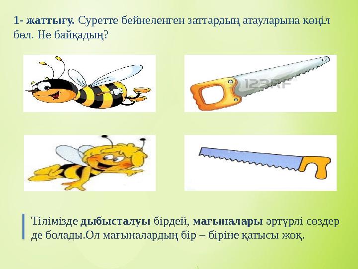 1- жаттығу. Суретте бейнеленген заттардың атауларына көңіл бөл. Не байқадың? Тілімізде дыбысталуы бірдей, мағыналары әртү