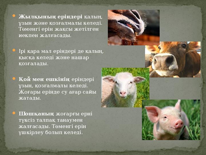 Әйелдерге арналған порно көру Арық қыздармен топтық секс