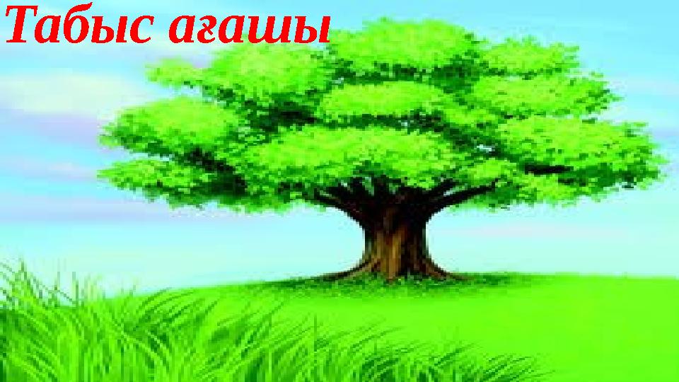 Табыс ағашы