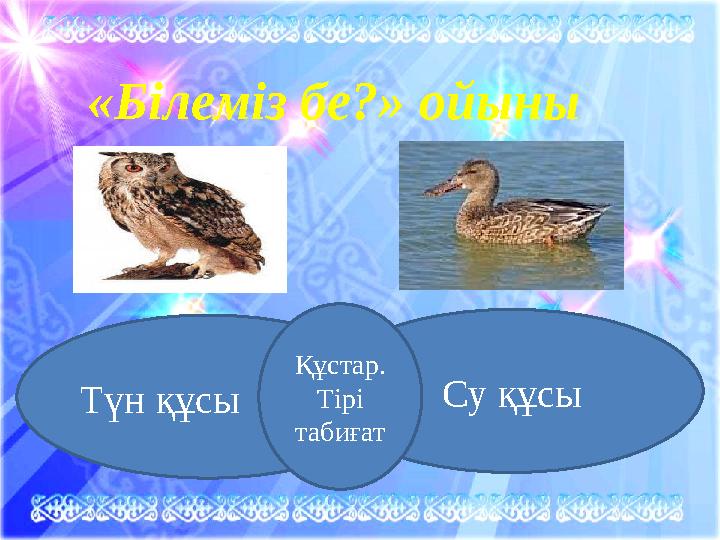 «Білеміз бе?» ойыны Түн құсы Су құсыҚұстар. Тірі табиғат