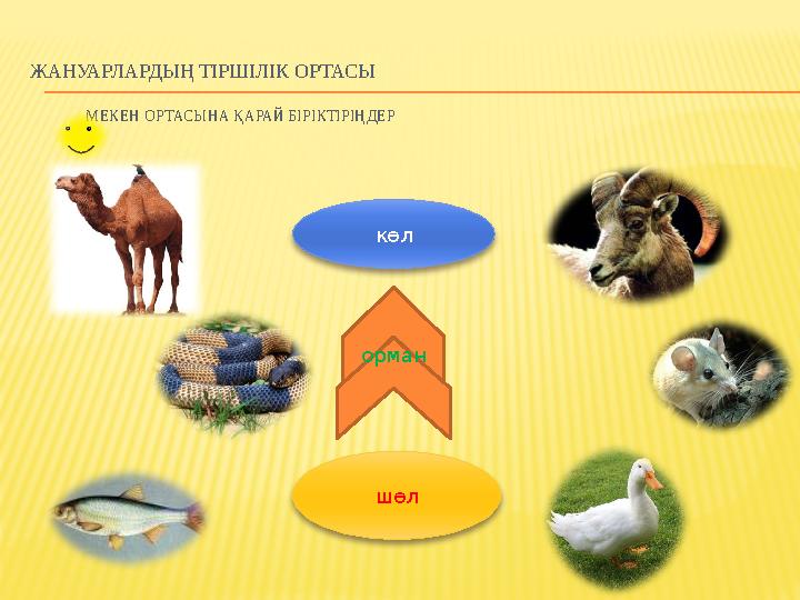 ТЕСТІК ТАПСЫРМАЛАР 1. Біздің елімізде өсімдіктің: а) 6000 түрі ә) 40 түрі б) 25000 түрі в) 600 түрі 2. Әр өсімдікке: а) ұ