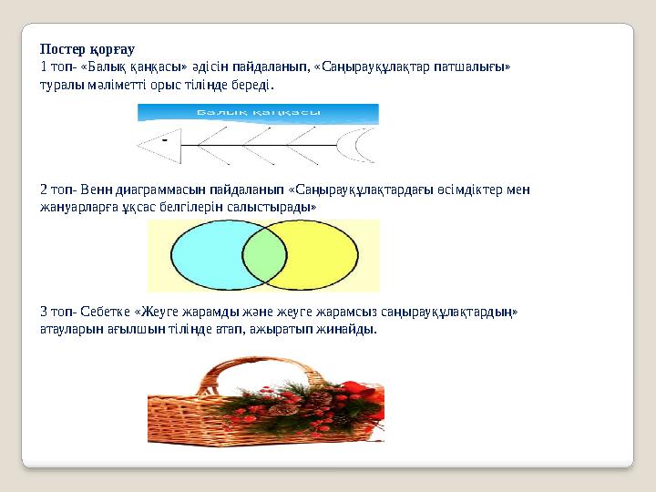 Постер қорғау 1 топ- «Балық қаңқасы» әдісін пайдаланып, «Саңырауқұлақтар патшалығы» туралы мәліметті орыс тілінде береді. 2 топ