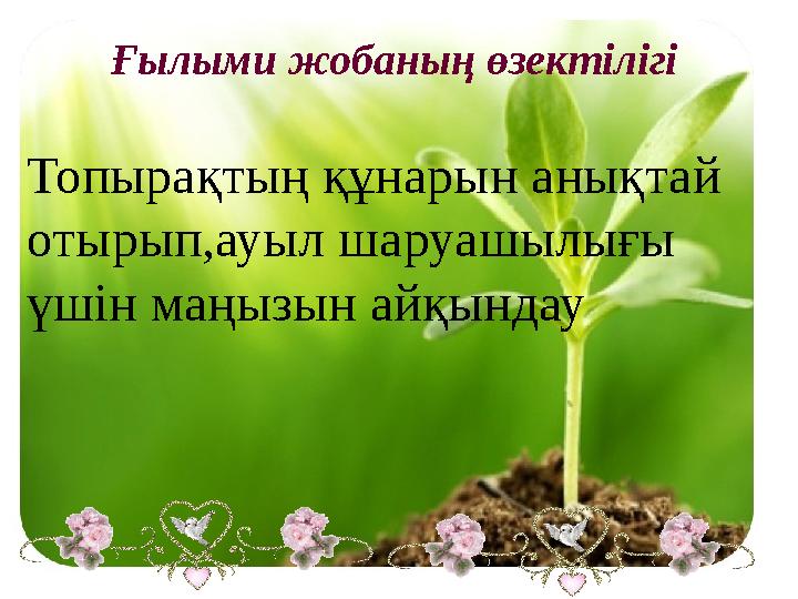 Порно фильм той