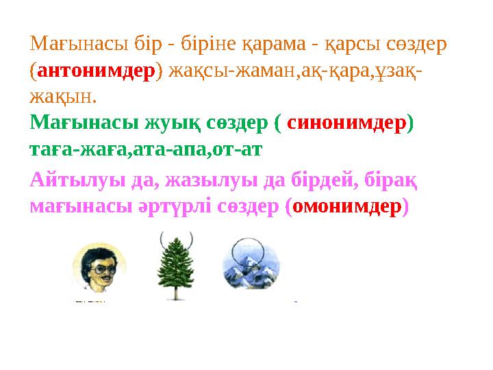 Лесбиянки кәрі томпақ әйелдер сиськи сорады