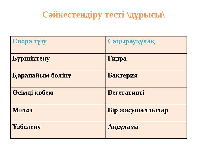 Сәйкестендіру тесті \дұрысы\ Спора түзу Саңырауқұлақ Бүршіктену Гидра Қарапайым бөліну Бактерия Өсімді көбею Вегетативті